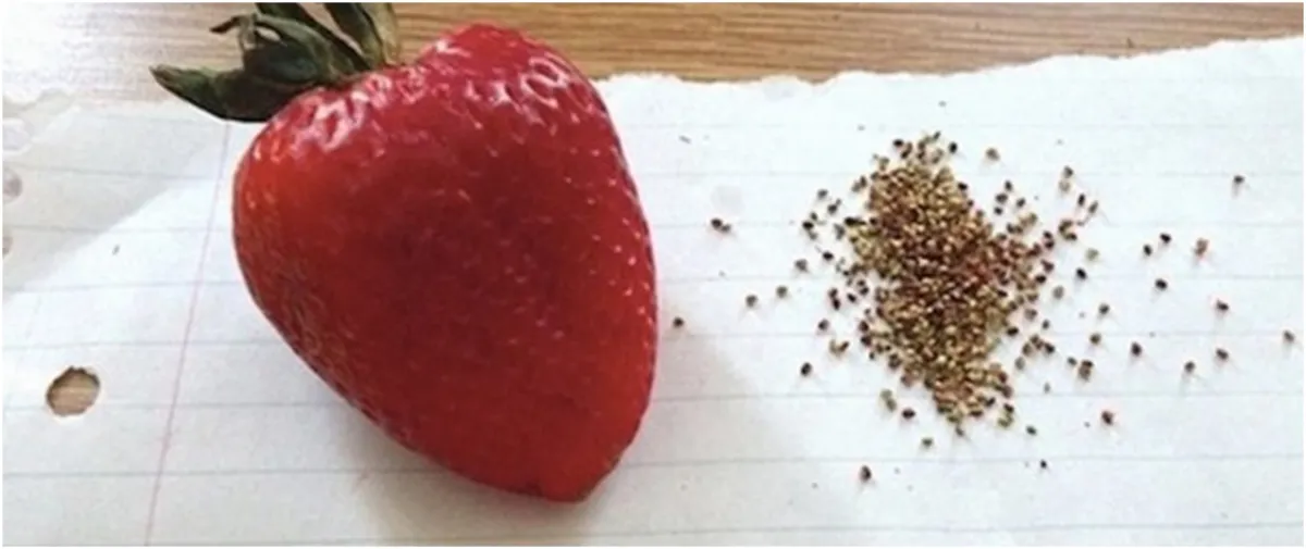 13 Kegiatan unfaedah ketika senggang yang bikin garuk kepala