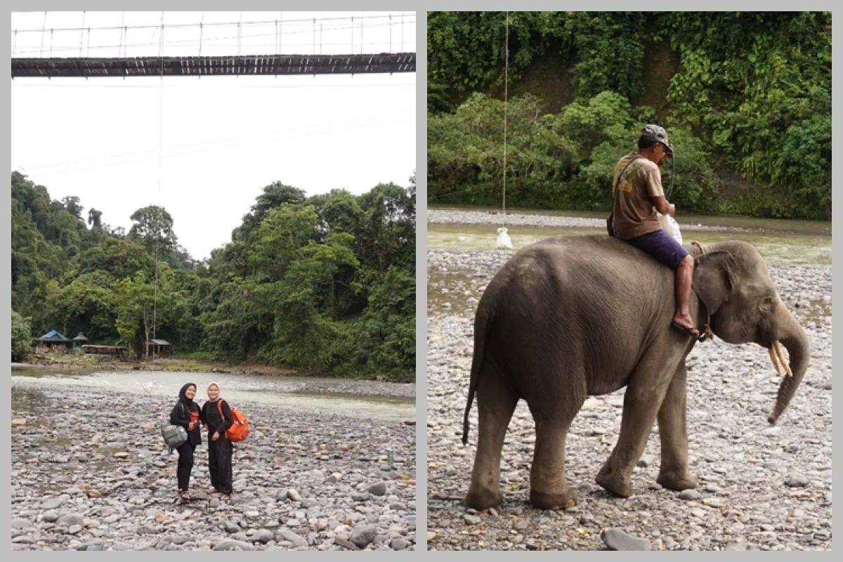 Menyusuri keindahan Tangkahan, lokasi Nicholas Saputra dan Chicco Jerikho di “Adu Rayu”