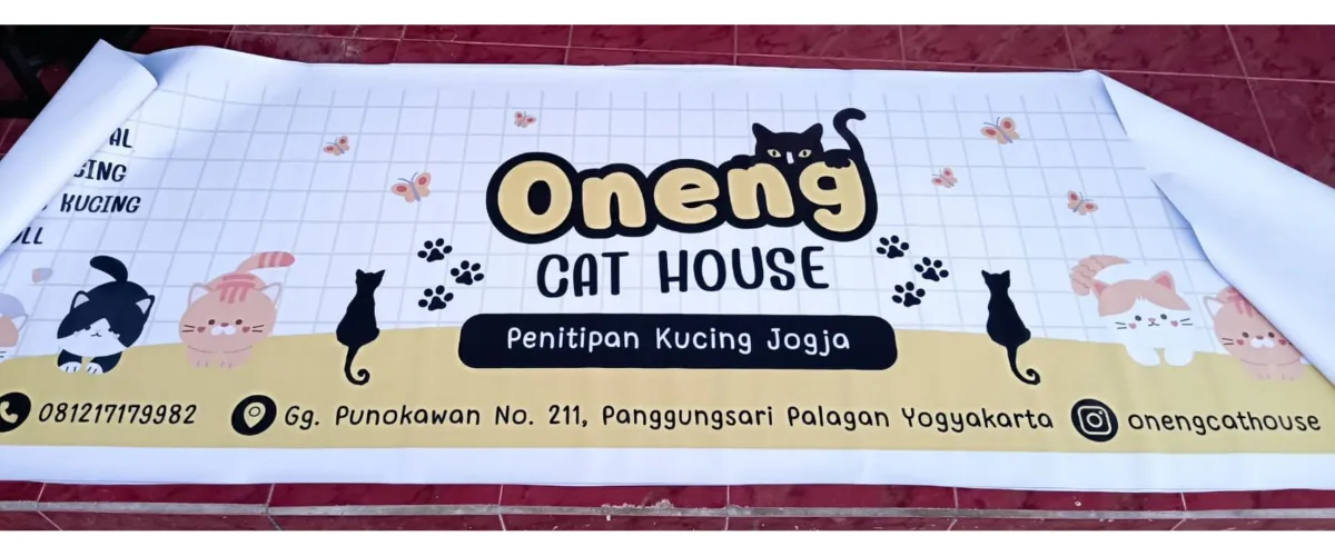 Bingung cari kerja, mahasiswa ini ubah kecintaannya pada kucing jadi untung jutaan rupiah