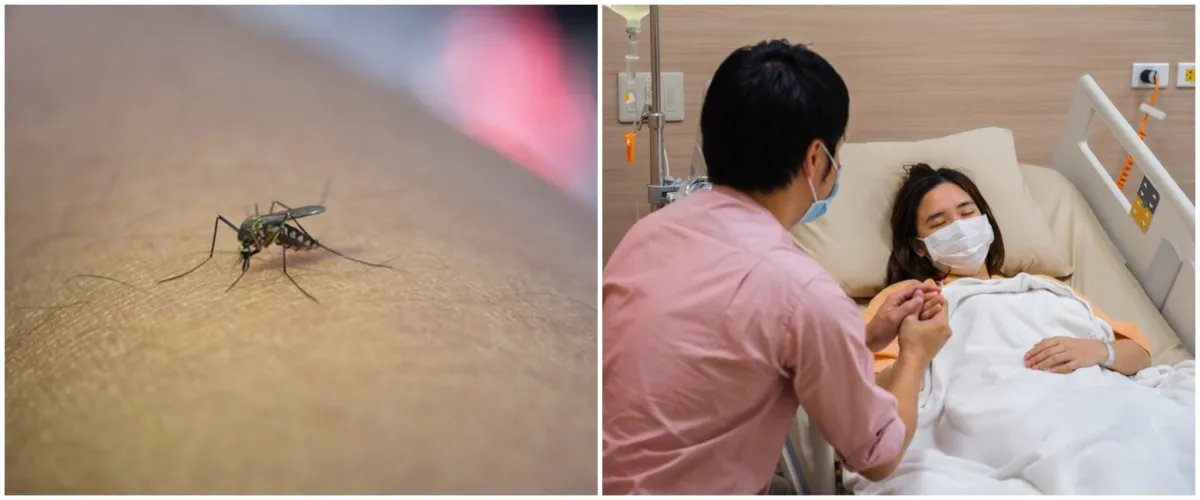 6 Superfoods untuk melawan demam berdarah (DBD), pencegahan alami yang efektif