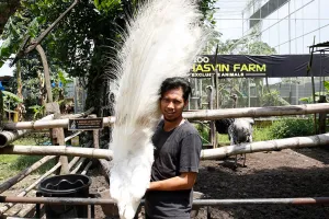 Dari Artis Kini Sukses Bisnis Hewan Hias dengan Keuntungan Fantastis