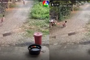 Aksi bocah mainan ayunan ini bikin geleng-geleng kepala