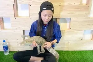 Viral wanita cantik pelihara 6 ekor buaya di rumah