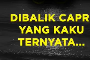 Dibalik Capricorn Yang Kaku