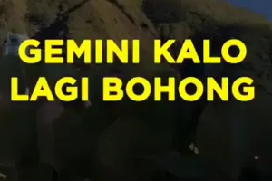 Gemini Kalau Lagi Bohong
