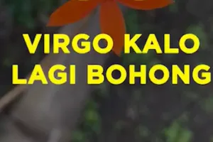 Virgo Kalo Lagi Bohong