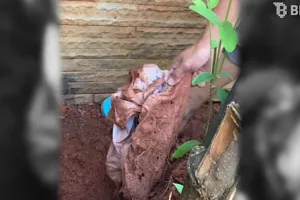 Wanita temukan buhul santet di rumahnya, ada kain kafan hingga tulang