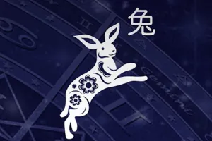 PENGENALAN SHIO KELINCI AIR 2023