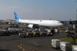 Ini penjelasan ilmiah Mario bisa bertahan di roda pesawat selama 1 jam