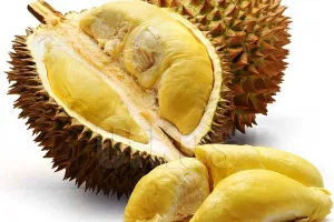Ini nih yang bikin durian baunya tajam banget