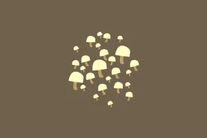 Sakit flu? Kamu bisa usir penyakit menyebalkan itu dengan makan jamur!