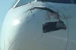 Menabrak burung, moncong pesawat Singapore Airlines retak & berlubang