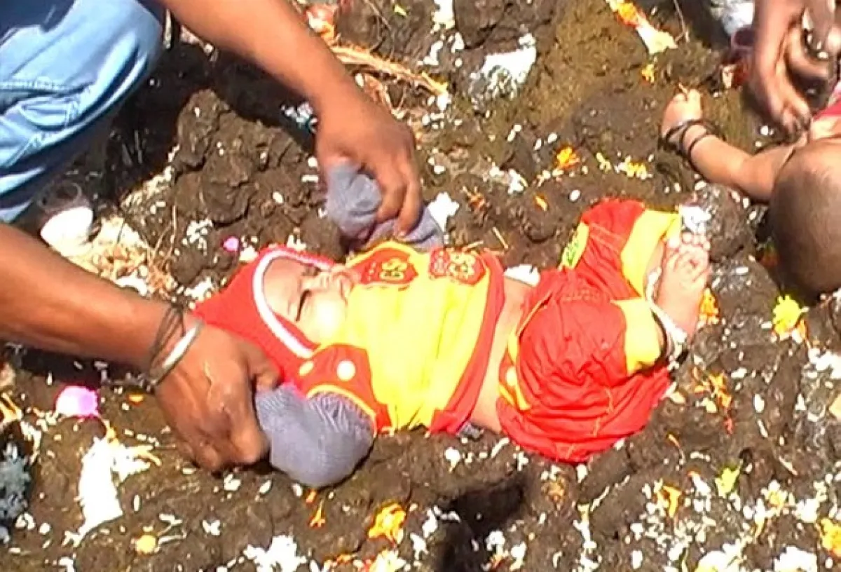 Percaya bawa hoki, orangtua ini rela ceburkan anaknya ke kotoran sapi