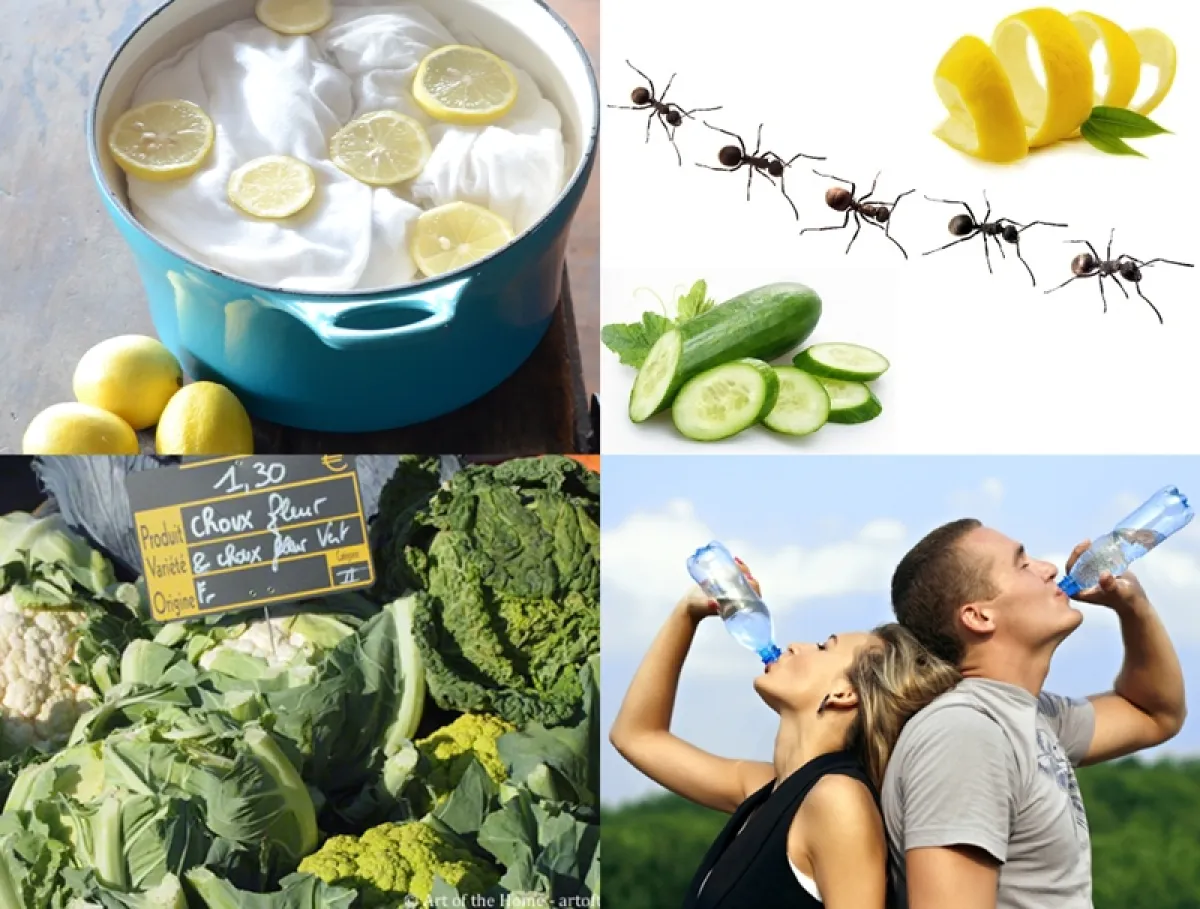 Rahasia keseharian yang nggak kamu tahu, tapi sekarang kamu perlu tahu