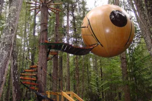 Tak cuma unik, 15 rumah pohon ini juga hommy banget, bikin ogah turun!