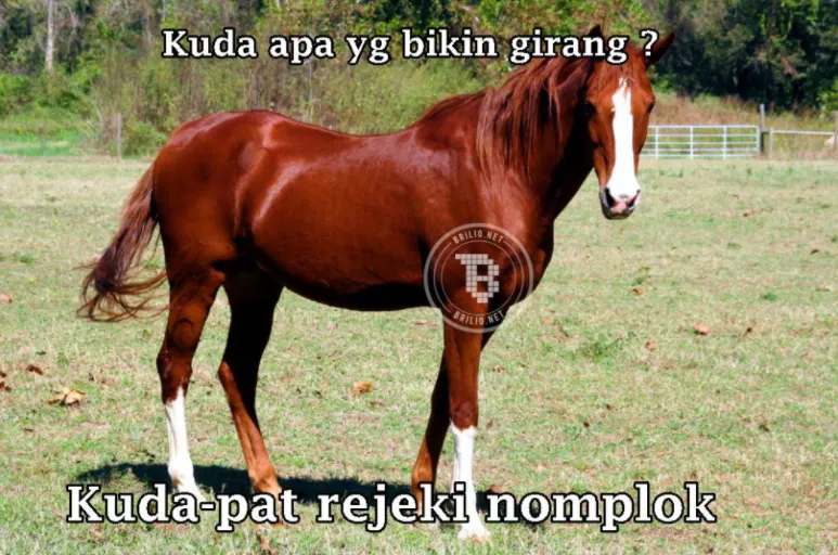 Tebak-tebakan lucu nama hewan © 2021 brilio.net