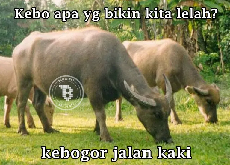 Tebak-tebakan lucu nama hewan © 2021 brilio.net