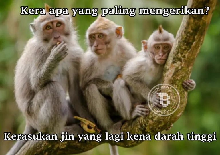 Tebak-tebakan lucu nama hewan © 2021 brilio.net