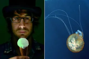 Es krim ini terbuat dari protein ubur-ubur lho, gimana rasanya ya?