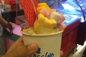 Mau nikmati gelato yang pasti halal di Yogyakarta? Yuk, ke Pistacchio 