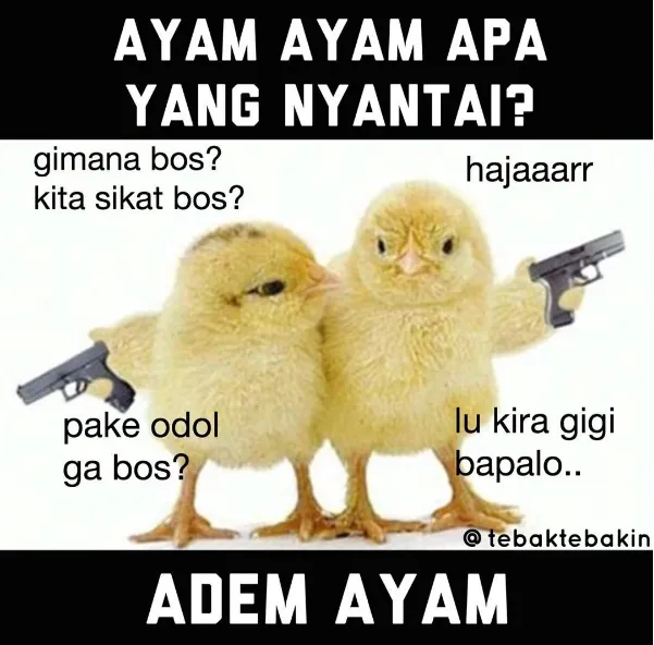 Meme tebak-tebakan receh bikin senyum-senyum © Istimewa Meme tebak-tebakan receh bikin senyum-senyum © Istimewa