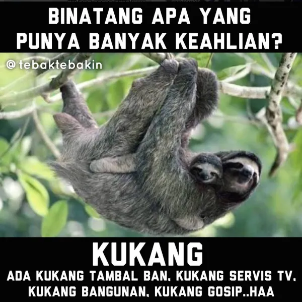 Meme tebak-tebakan receh bikin senyum-senyum © Istimewa Meme tebak-tebakan receh bikin senyum-senyum © Istimewa
