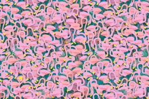 Kamu bisa melihat penari balet di antara flamingo ini?