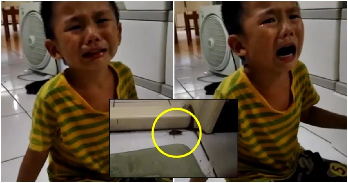 Bocah ini nangis gara-gara ibunya bunuh kecoak, lucu tapi nyentuh rasa