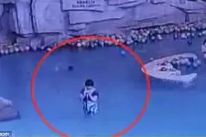 Gara-gara mainan HP, ibu ini tak sadar anaknya tenggelam di kolam