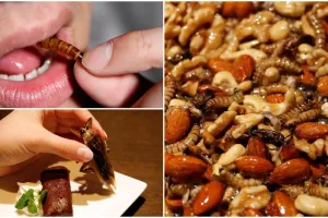 10 Foto hidangan penutup di restoran ini bikin mau muntah