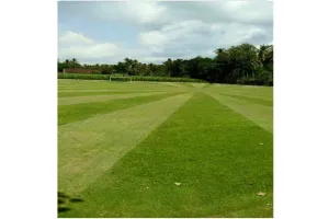 Bukan di Eropa, lapangan sepak bola keren ini ada di Blitar