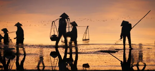 Makin modern, Big Data potensial majukan pertanian Indonesia