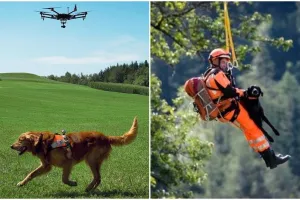 5 Aksi anjing dalam proses penyelamatan manusia ini bikin salut