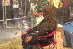 Sejam dikerumuni 100 ribu lebah, pria ini pecahkan rekor baru dunia