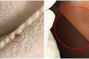 10 Momen jorok saat traveling ini bikin ilfil, mengganggu liburan deh 