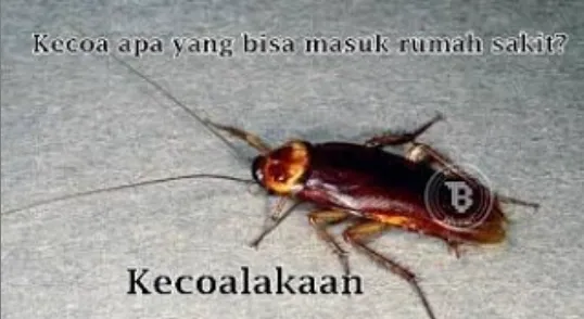 Tebak-tebakan receh © 2021 brilio.net Tebak-tebakan receh © 2021 brilio.net