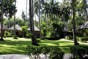 Penginapan ini usung konsep unik, mewah tapi kamar mandinya di luar   