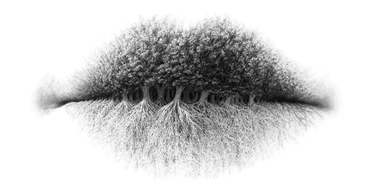 Bibir, pohon atau akar? Objek pertama yang kamu lihat ungkap pribadimu