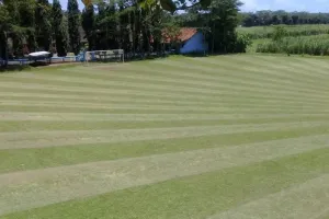 6 Lapangan bola di desa ini saingi stadion dunia, berstandar FIFA lho