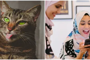 111 Tebak-tebakan nama hewan, receh abis dan auto ngakak 