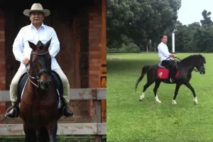 Sama-sama penyuka hewan, ini beda peliharaan Jokowi & Prabowo