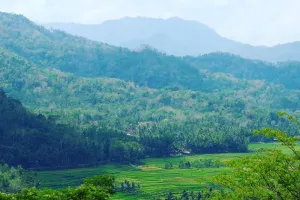 Menikmati glamping di Bukit Menoreh, sajikan panorama Borobudur