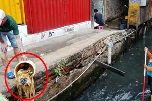 4 Aksi buang sampah sembarangan ini tak pantas ditiru