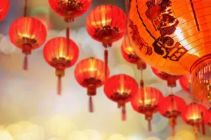 Intip peruntungan 12 shio di Tahun Babi Tanah jelang Imlek 2019