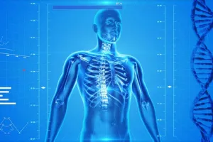 10 Manfaat buah delima untuk kesehatan dan kecantikan