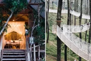 5 Destinasi glamping yang hits dan Instagramable untuk liburan