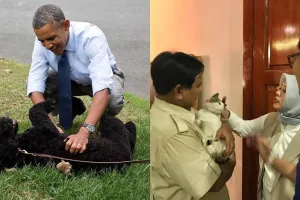 5 Hewan peliharaan politisi, dari kucing sampai sapi