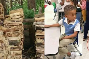 Uji kejelian mata, bisa temukan momen tersembunyi di 10 foto ini?