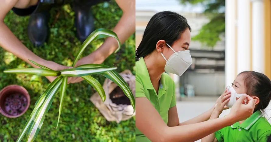 Polusi udara Jakarta makin parah, ini 6 tips biar tak mudah sakit