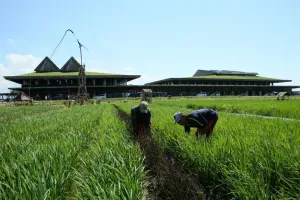 Rute Banyuwangi-Yogyakarta PP mulai 19 November, ini jadwalnya